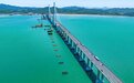 直击！市域铁路象山线跨海大桥施工现场→