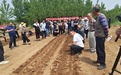 全市大豆玉米带状复合种植播种机械现场演示观摩会成功举办