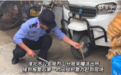 淮北烈山：民警捉蛇记变成救蛇记
