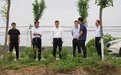 管保臣深入各乡镇调研督导“三夏”生产工作