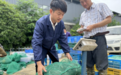 进贤90后甲鱼“专家”姜峰