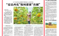 “夏邑西瓜”缘何甜蜜“出圈”