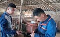 “云”上养殖——莱芜联通FTTR助力乡村振兴