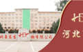 豪东生物科技创新引领吉利丁片行业发展再创佳绩