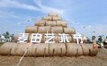 江苏滨海：端午麦田艺术节异彩纷呈