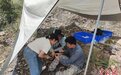 湖北有重大发现！国内首次