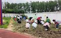 定远县七里塘学校开展劳动基地实践活动