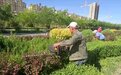 魅力瓜州当好"护绿使者" 不惧"烤"验打造城市高颜值