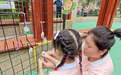 肥东县三和幼教集团开展“2023年我们的节日·精神的家园”端午节主题活动
