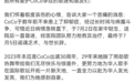 李玟和她生命中的最后时光