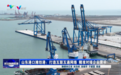 山东港口潍坊港：见证潍坊经济活力与韧劲
