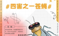 关于病媒生物防制 这些知识你需要了解