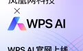 WPS AI正式定名 这两类用户均可申请
