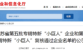 国家级专精特新“小巨人”名单公示！徐州+12