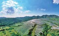 光伏“点亮”乡村振兴路