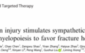 河北医科大学第三医院张英泽院士团队发文《STTT》：揭示创伤性脑损伤通过交感神经促进骨折愈合的神经免疫调控机制
