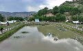 探访庄浪乡村留客密码 住在风景里的村民吃上旅游饭