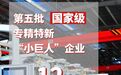 苏州太仓国家级“小巨人”12家企业入围