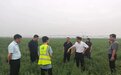 樊恒明主任带队赴兰考开展绿色食品生产资料现场检查