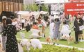 “宠物友好”带热“它经济” 需兼顾“理智与情感”
