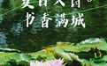 夏日入诗 书香满城