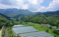 泰和县：夏日秀美山乡 美不胜收（图）