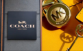 Coach母公司宣布收购Michael Kors母公司，十余年缠斗终于尘埃落定