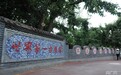 中国一绝！在黄河畔遇见“世界第一古梨园”