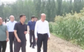 凤凰早报|批准了！中美直飞航班翻倍增加；点名了！王毅就仁爱礁风波表态