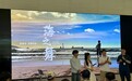 苹果入华30年特别版Today at Apple：张亚东与年轻人一同分享创作过程