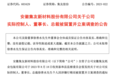 今年第2次被查！这家A股公司董事长被留置、立案调查！