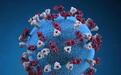新冠病毒新变异株EG.5引起流行，建议做好防护