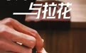 秋季公益课程，免费培训！关注“宁波市文化馆”的你，有福啦~