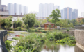 临沂市城管局园林环卫中心青龙河管理办：持续增进民生福祉，让辛福感“流”进百姓心头