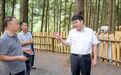南川区委书记向业顺：高举“旅游旗”走好振兴路 着力打造乡村旅游特色品牌