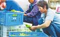 江西共青城市：推进农产品冷链物流建设 从地头到舌尖 打通最“鲜”一公里