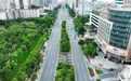 厚街｜“最美公路”升级！10公里“彩虹”慢道出圈