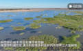 高质量发展吉林行 | 盐碱滩变粮仓——水资源盘活吉林西部“绿色奇迹”