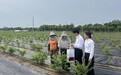 中国银行江苏省分行：“丰收节”时话丰收 金融活水润泽“三农”沃土