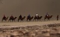 突破600万人！双节临近敦煌“堵骆驼”又双叒开始啦