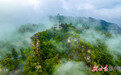 云海缥缈　平凉崆峒山秋景如画