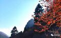 松鸣岩观秋景　一幅大写意的水彩画
