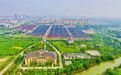 桐乡“深乡窝”里有个“闹市区”