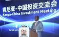 “一带一路”倡议助力中国企业在肯尼亚投资领域实现“快车道”