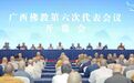 广西佛教召开第六次代表会议，湛空法师当选新一届理事会会长