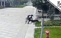 【#被大型犬撕咬女童母亲发声#：狗绕着撕咬不放 将追究物业和犬主责任