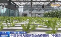 “一带一路”上的这些“中国方案”，来自甘肃