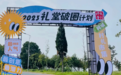 柯城区“礼堂CEO”们做起“推销员”