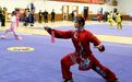 2023第一届嵩山武术大会闭幕 集团学员获256金136银68铜