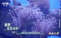【转存小知识！#珊瑚不是石头而是动物#】 你知道吗？珊瑚别名“珊瑚虫